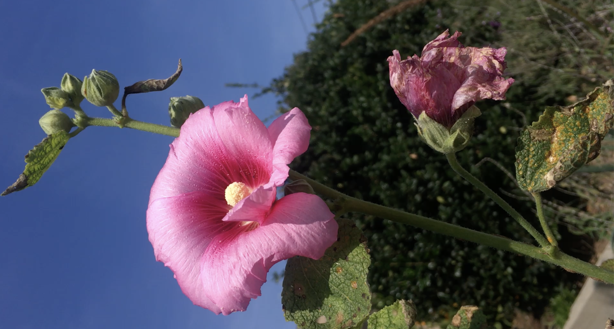 It’s a matter of light