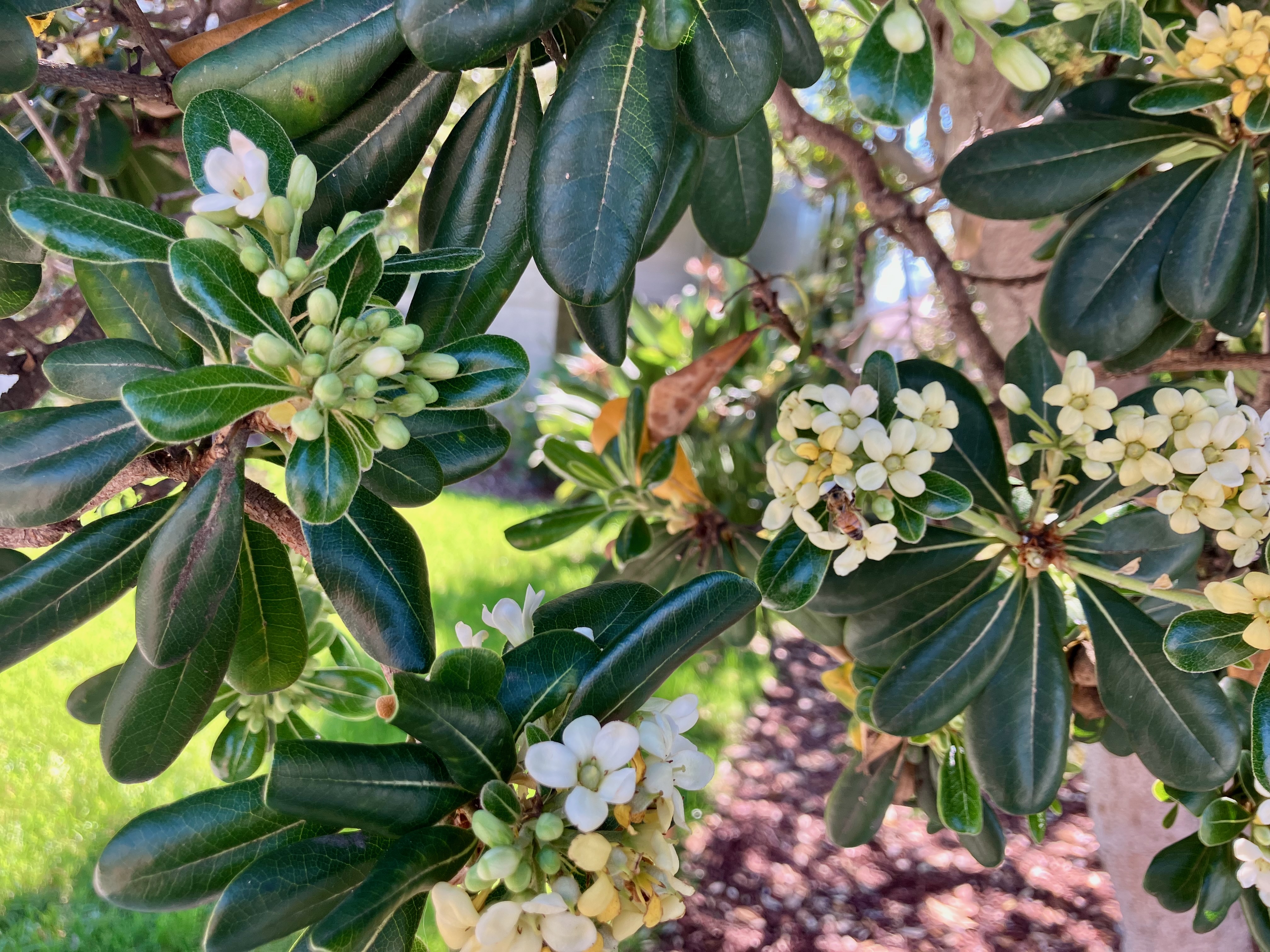 carrying & letting go